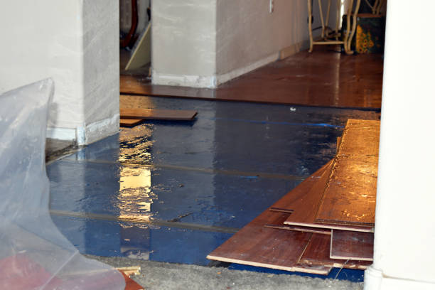 Professional Sewage Cleanup technician working in Vernon, AL